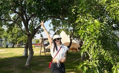 刘亦菲艳门禁照